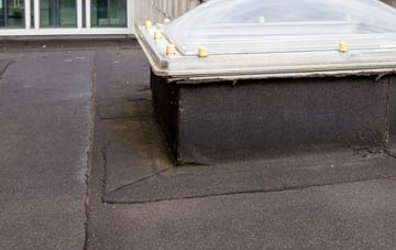 disadvantages of Coryates flat roofs