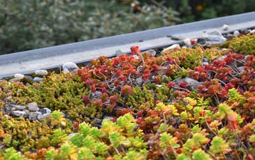 the cost of Coryates green roof installation