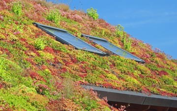 Coryates living roof systems