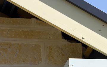 soffit repair Coryates